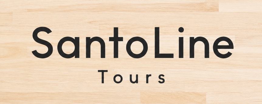 Official Travel Agency