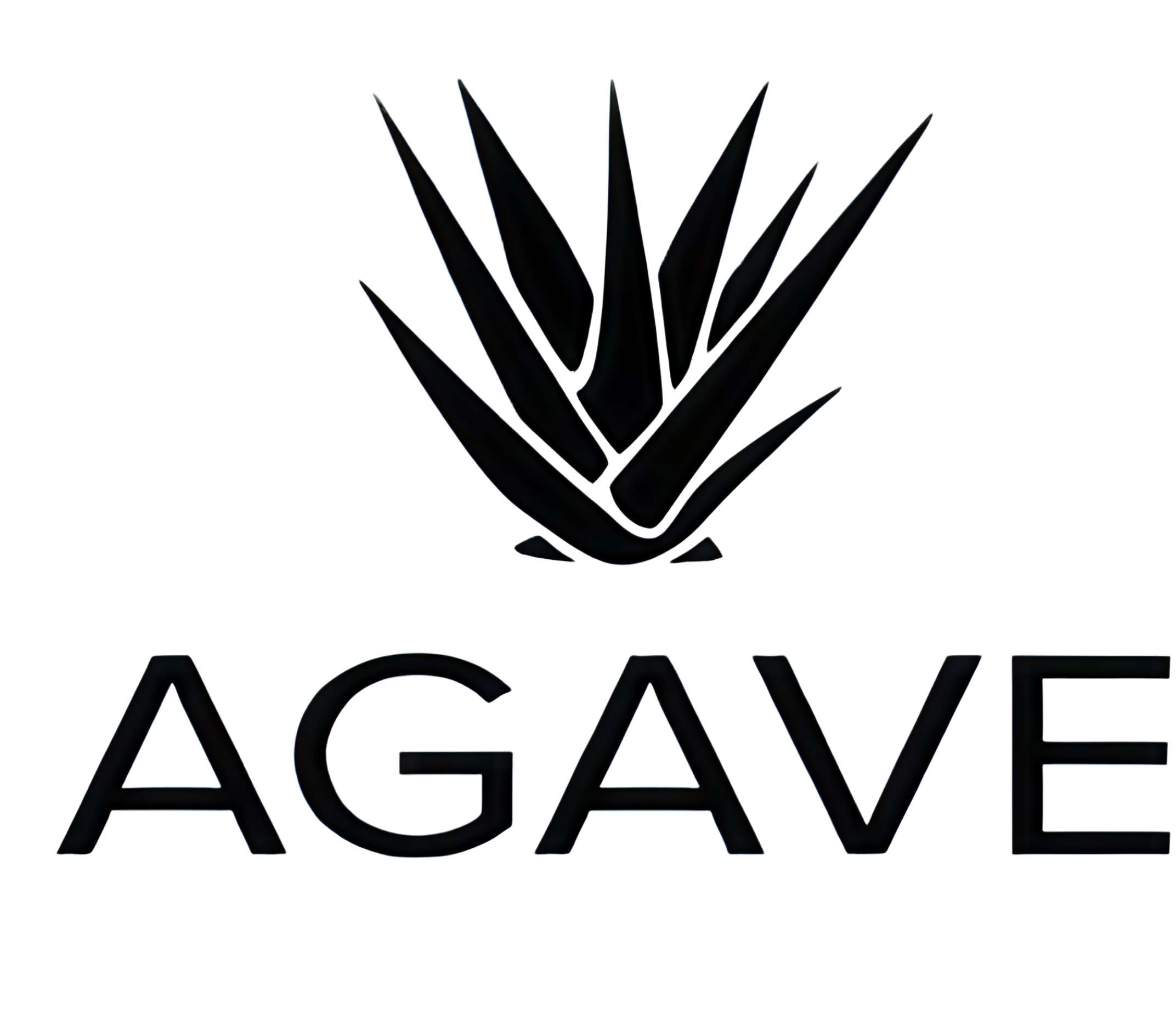 Agave Santorini